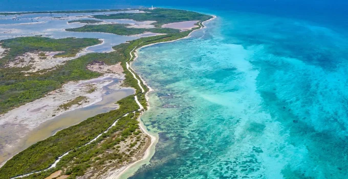 Amazônia Rosa: 450 Novas Espécies Podem Ser Descobertas no Litoral Brasileiro, Riqueza Marinha Surpreende Cientistas