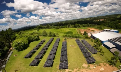 Font Life: Indústria de Água no PR Celebra Dia do Meio Ambiente com Preservação de Nascentes e Aquíferos