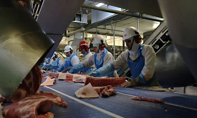 UE veta carne brasileira: Entenda as regras sanitárias que afetam exportações e o que o Brasil precisa fazer para voltar ao mercado europeu