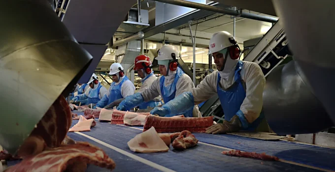 UE veta carne brasileira: Entenda as regras sanitárias que afetam exportações e o que o Brasil precisa fazer para voltar ao mercado europeu