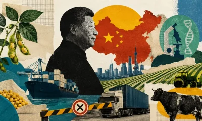 China Reduz Importações Agrícolas: Brasil em Alerta com Mudança Estratégica Chinesa que Impacta Soja e Carne