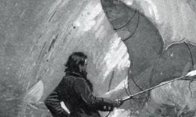 Moby Dick e o Terror do Sagrado: A Brancura da Baleia Revela a Santidade Incompreensível de Deus