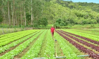 Santa Catarina Investe R$ 750 Milhões em Programa para Fortalecer Campo e Pesca: Conheça o SC Rural 2