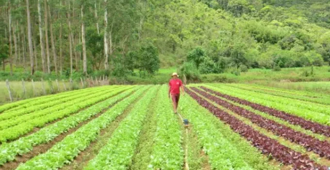 Santa Catarina Investe R$ 750 Milhões em Programa para Fortalecer Campo e Pesca: Conheça o SC Rural 2